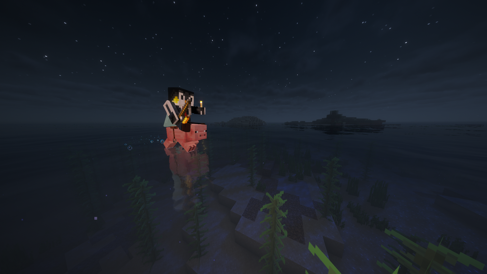 Player Riding a Pig in the Ocean at night