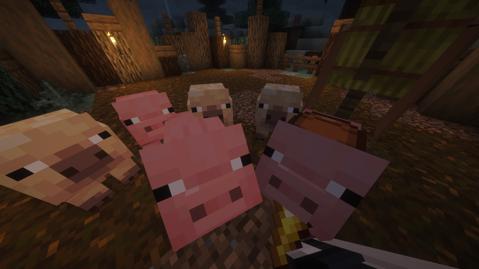 Heard of Pigs Rushing Player with Golden Carrot